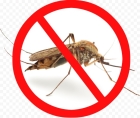 Борьба с комарами