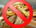 Борьба со змеями